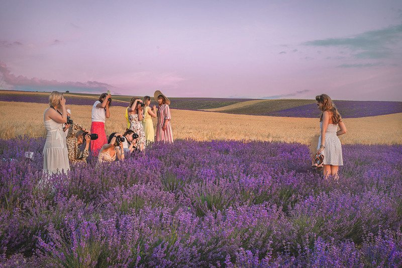 Крым.Лаванда.Вечер.photo preview