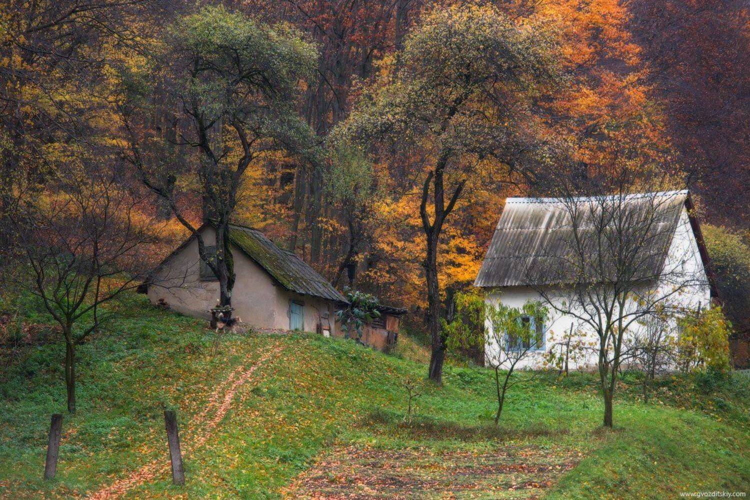 осень, ноябрь, карпаты, Гвоздицкий Алексей