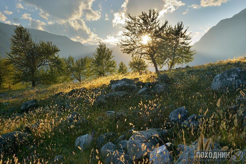 Умиротворениеphoto preview