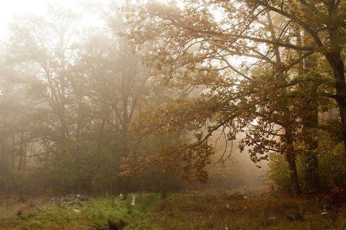 Indian summer