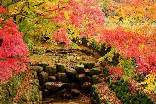 Autumn colors