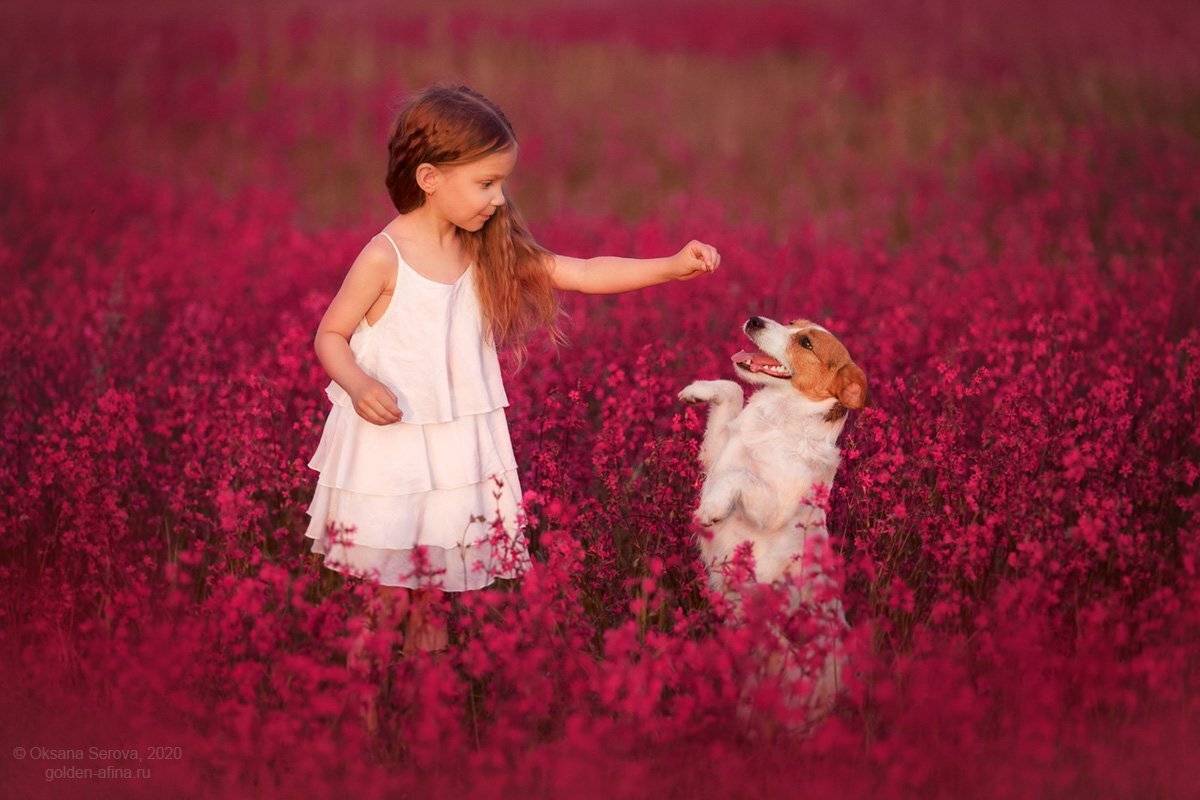 Автор: Оксана Серова , Оксана Серова