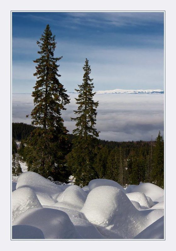 bulgaria, , vitosha photo preview