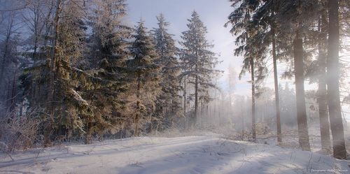 Прекрасные чувства....