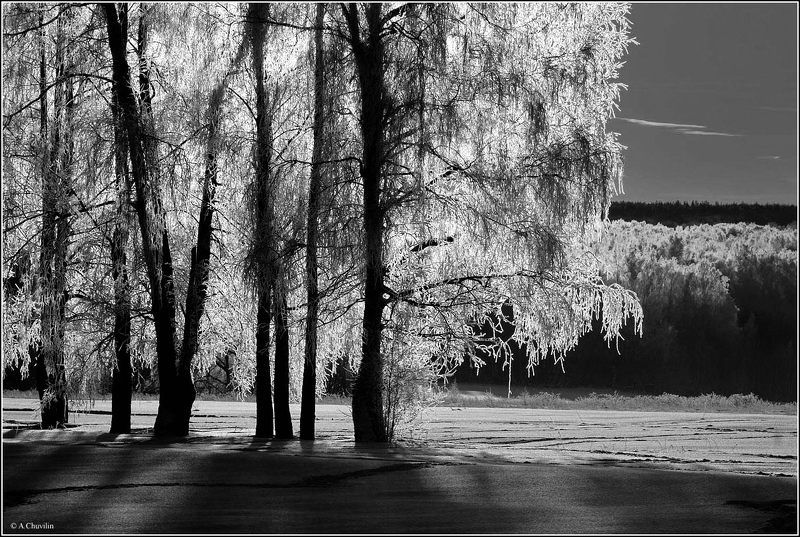 зима,январь,занавес,иней,восход Занавес зимыphoto preview