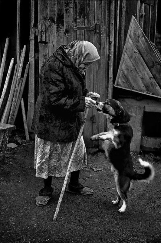 Дама с собачкойphoto preview