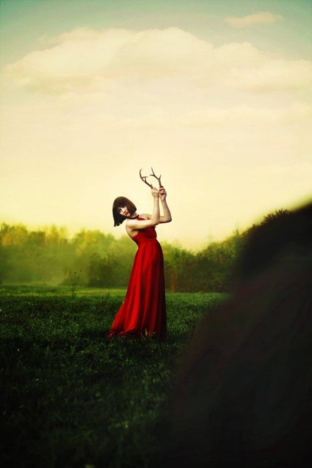 Автор: Залесная Юлия , Залесная Юлия