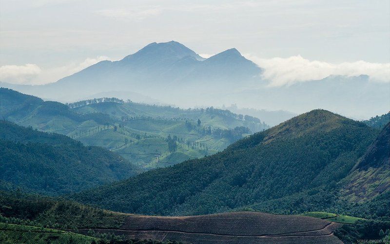 Эравикуламphoto preview