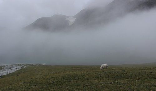 Утро после дождя