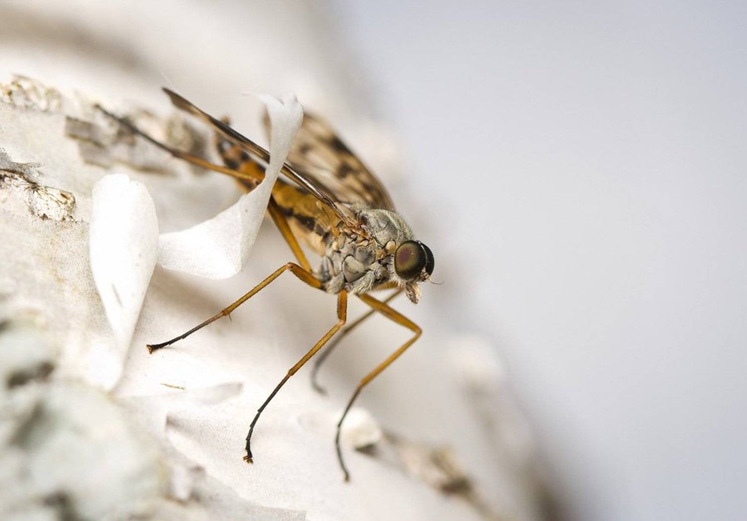 .. Автор: vd319 , vd319