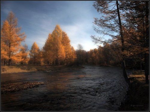 Осенний мотив