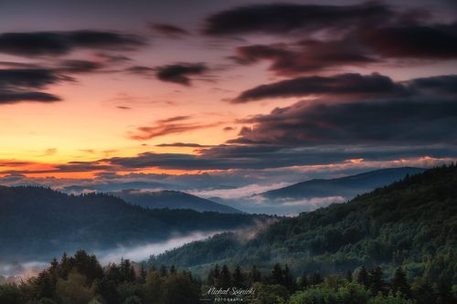 Foggy morning...