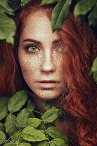 women by wpixel (More Than Beauty)