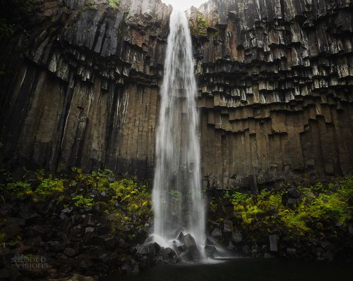 Svartifoss / Iceland