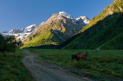 Утро в Республике Гор