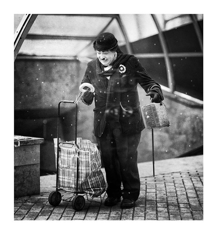 Чарли...photo preview