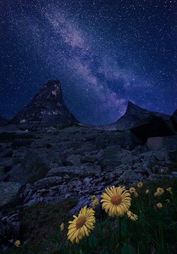 ~ Ночь у Параболы ~