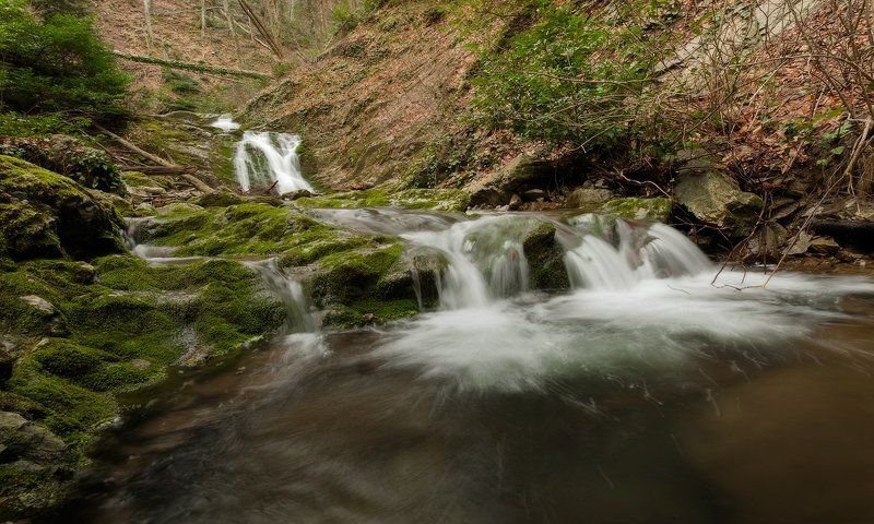 В ДЕБРЯХ РУЧЬЯ БЕШЕНОГО-2photo preview