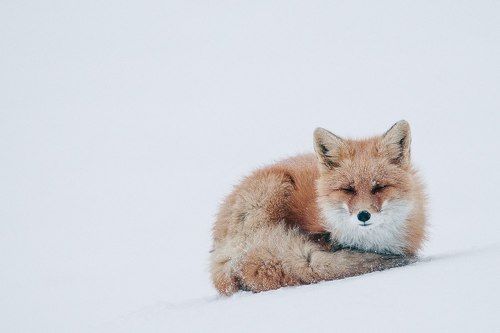 Сон час