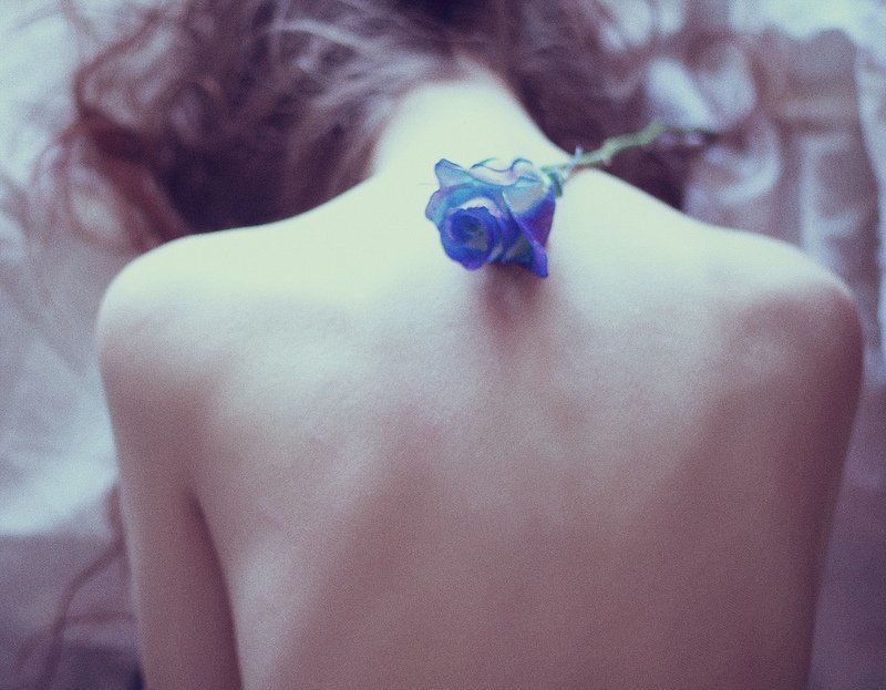 La rosaphoto preview