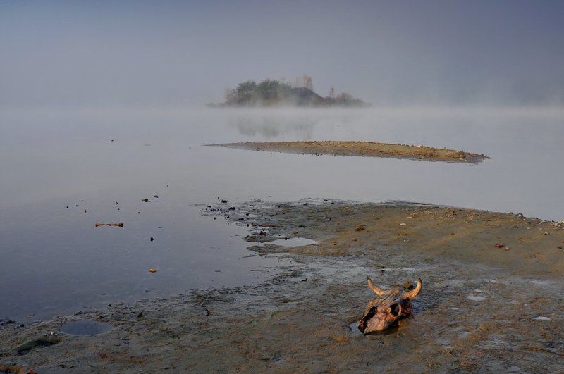 пейзаж, природа ***photo preview