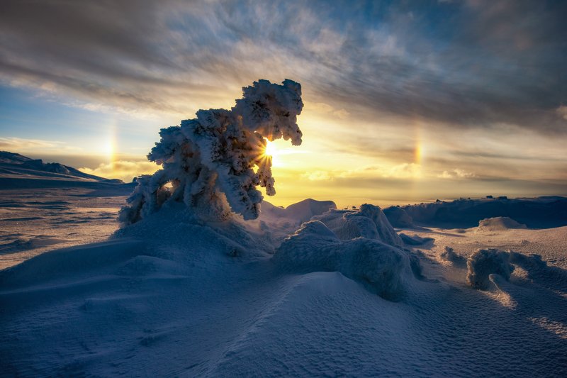 Чудо-юдо Кандалакшскоеphoto preview