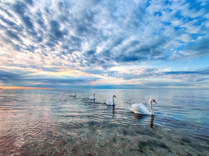 Социальная дистанция)photo preview