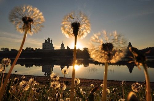 Тихое утро.