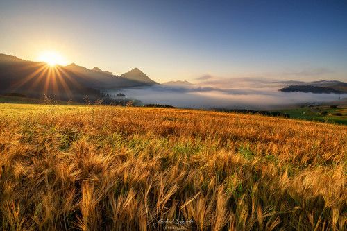 Summer morning...