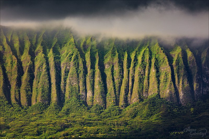 гавайи, оаху, остров, горы, фототур, пшишылны, путешествия, сша Лезвия photo preview