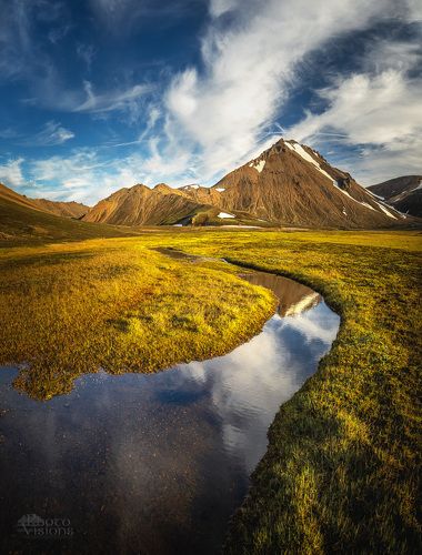 Golden light