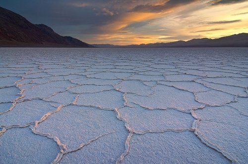 Mike Reyfman. Wildlife and Nature Photography.