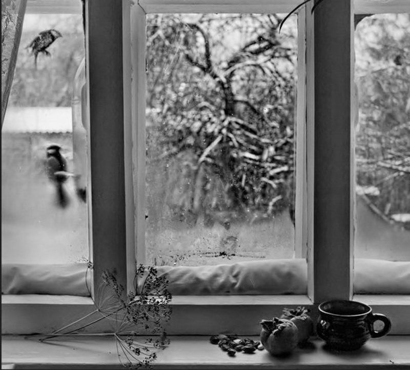 Накануне зимыphoto preview