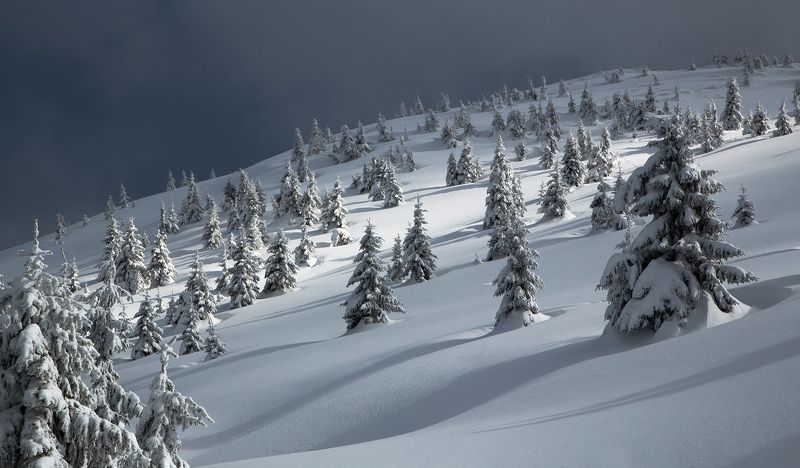 ДЕСЯТЬ ПЕСЕН О ЗИМНИХ КАРПАТАХ...photo preview