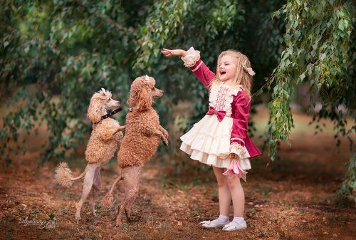 Ап! И т̶и̶г̶р̶ы пудели у ног моих встали! 