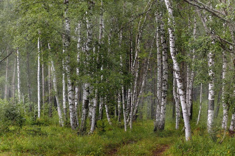 южный урал,оренбургская область, орск, новотроицк,башкирия, башкиртостан Леснаяphoto preview