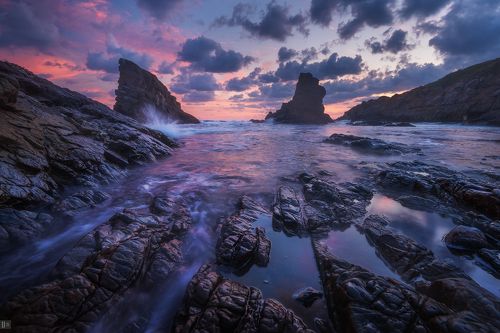 Скитания Българией. Возвращение