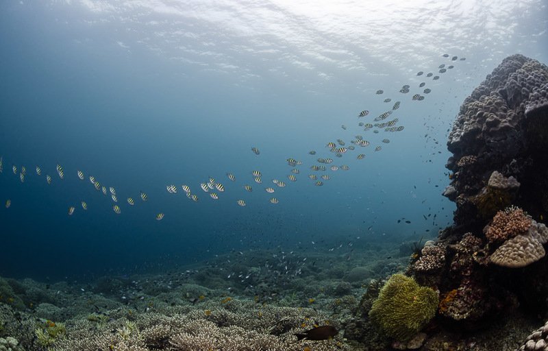 Фолловеры . . . . .photo preview