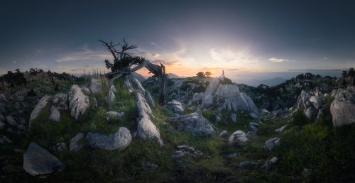 Nature first