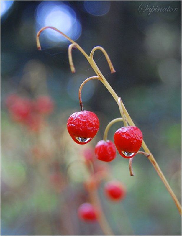 Грустный клоунphoto preview