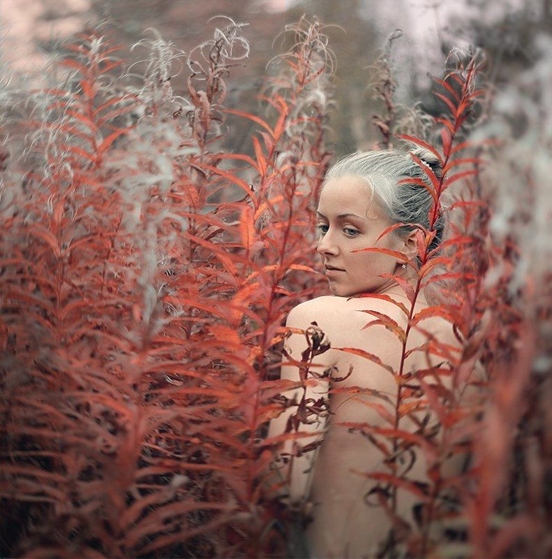 Планета любвиphoto preview