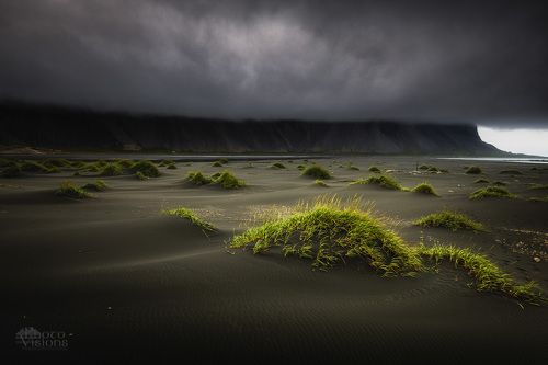 Black beach in Stokksnes, IS