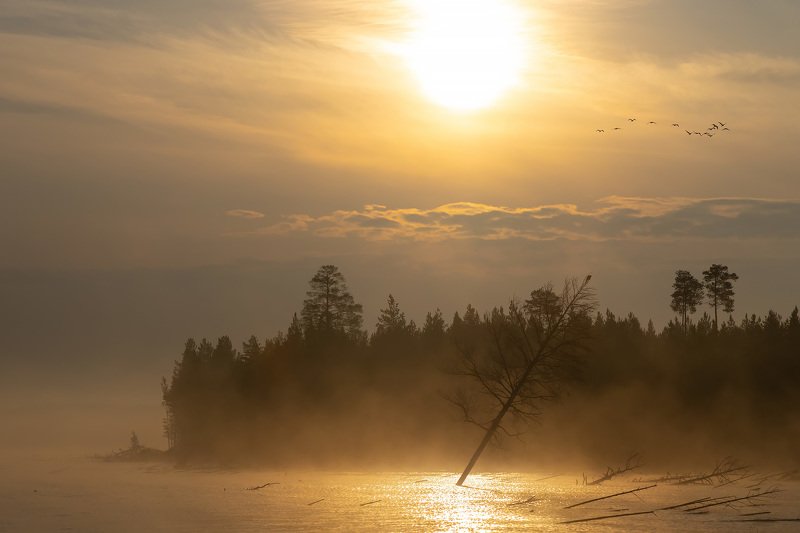 богучаны, утро, вода, озеро, туман, облака, солнце, лес Утро на Богучанахphoto preview