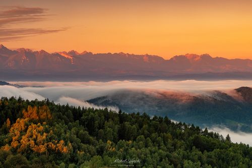 Foggy morning...