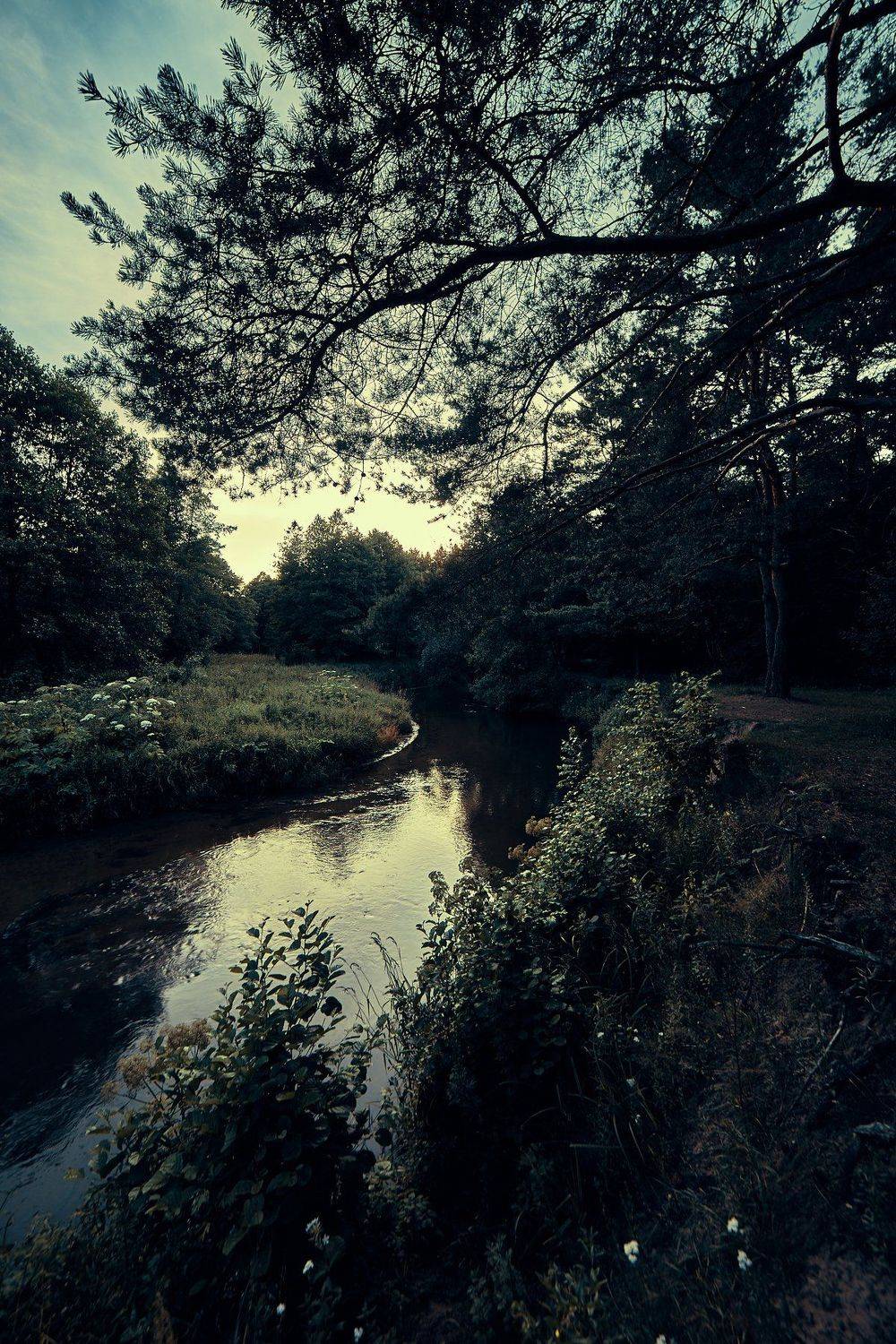 Автор: Александр Фанковин , Александр Фанковин