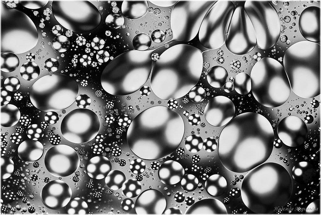 Визуализация Sergio Tacchini. Автор: Надежда Муравьёва визуализация, sergio, tacchini, Надежда Муравьёва