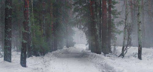По мартовской дороге вечером