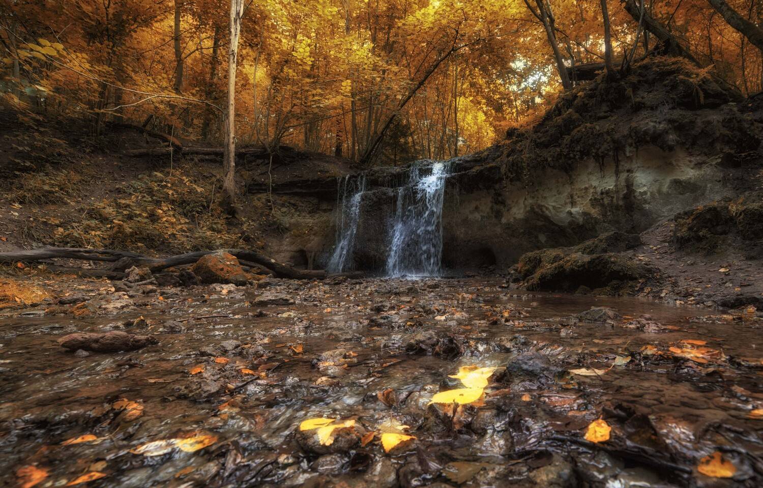 ***. Автор: Edgars Gerskovics , Edgars Gerskovics