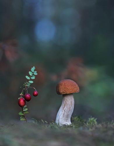 Танцующий изгиб
