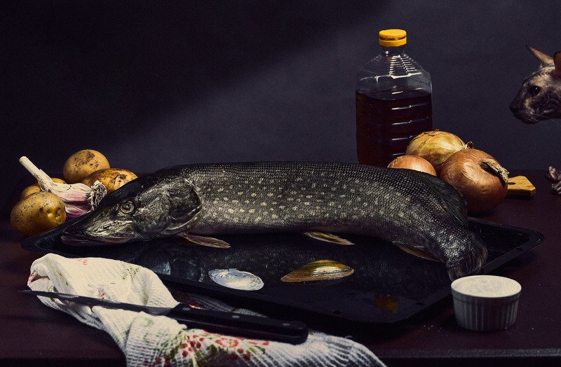 Попалась...photo preview